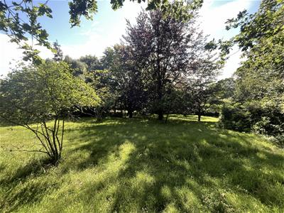 Picture 27